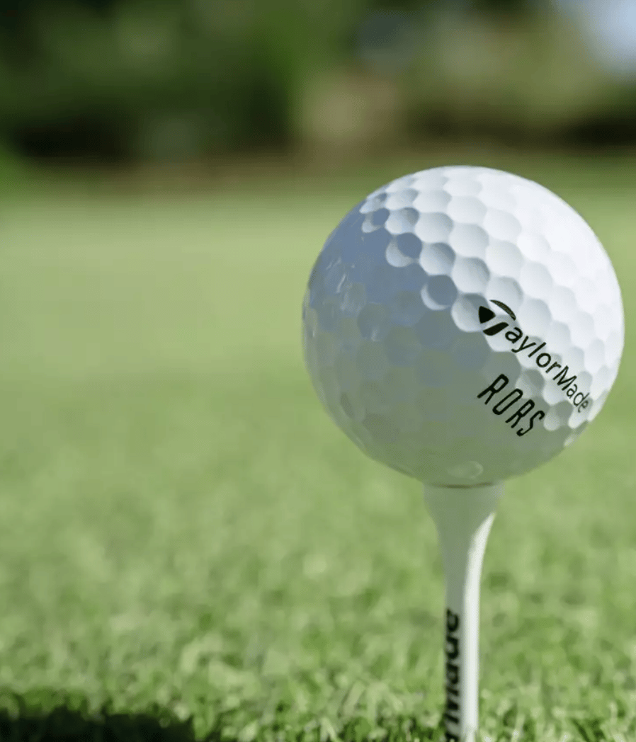 TaylorMade TP5 / TP5X RORS RORY MCILROY Golf Balls [2025
